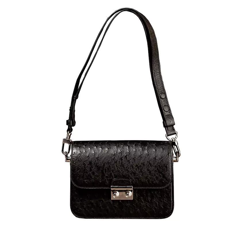 Sac boîte en cuir d'autruche
